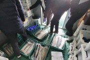 중국산 냉동 장어 국내산 둔갑해서 26억 원어치 속여 팔다 적발돼